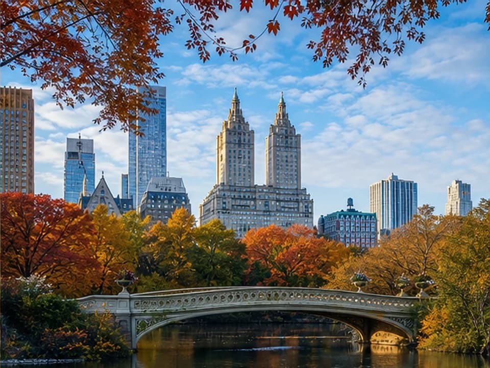 Central Park in New York