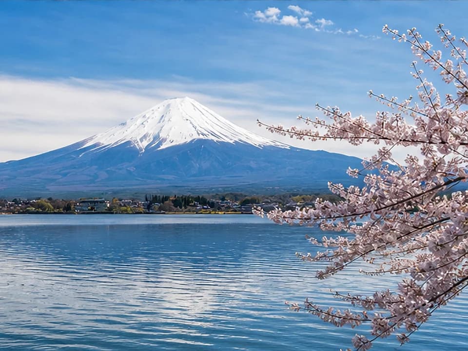 Join a sushi tasting experience in Tokyo