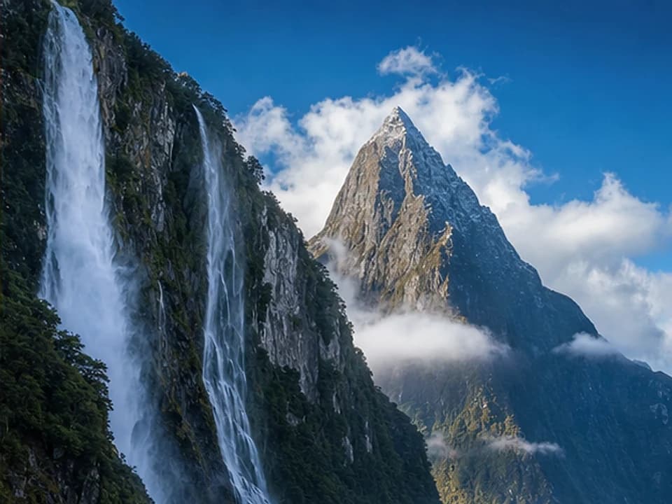 Taste wine country experience in New Zealand