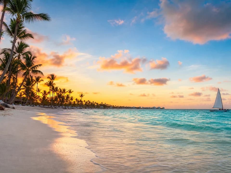 Zip through the canopy experience in Punta Cana